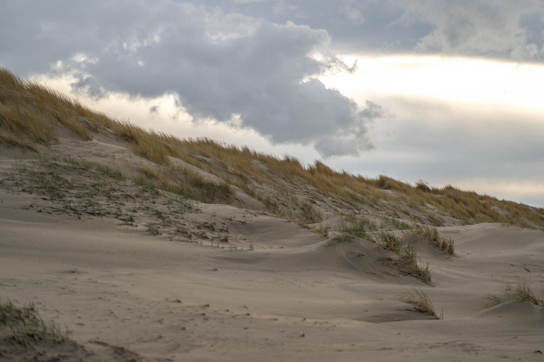 Cape Cod
